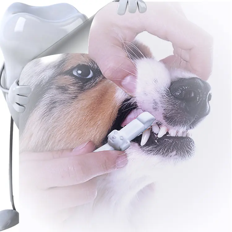 Pet Cleaning Teeth Wipe Portable Tooth Tool
