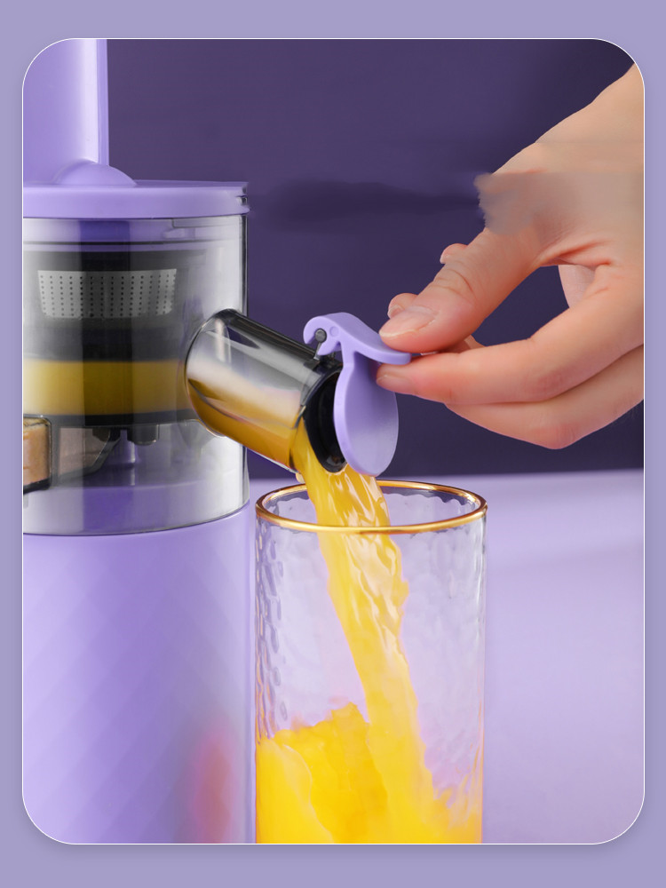 Title 4, Portable Multifunctional Frying Juice Machine