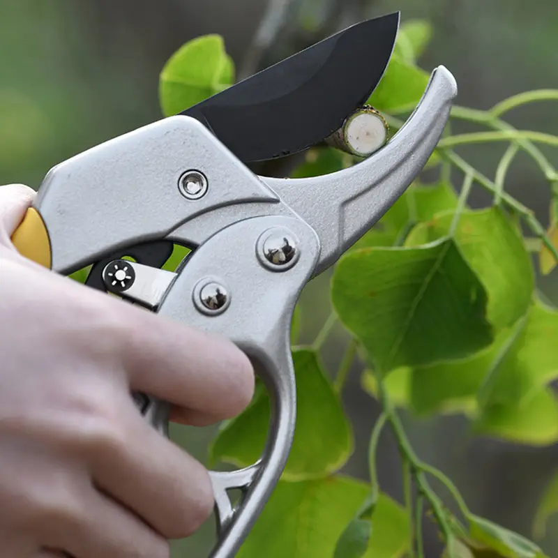 Manual Pruning Shears with SK-5 High Carbon Steel Blade for Gardening and Branch Trimming
