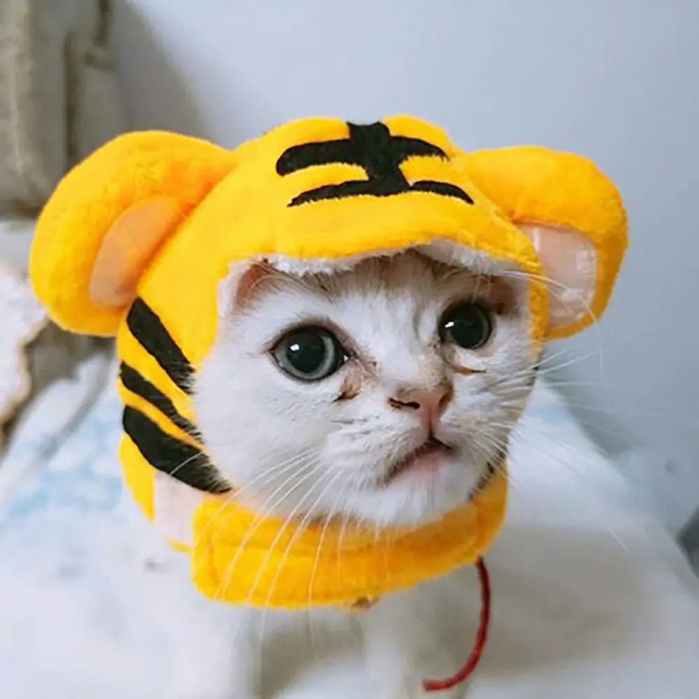 Curly Hair Pet Hat Cat Funny Dress