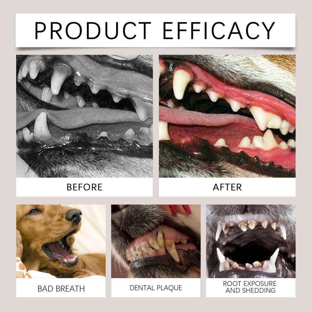 Dog Dental Care Powder Supplement 3
