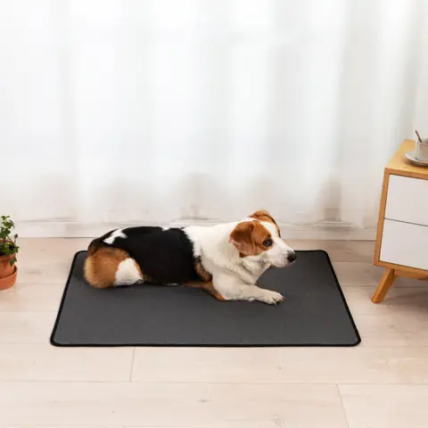 Repeated Water Absorption Training for Pet Changing Pads