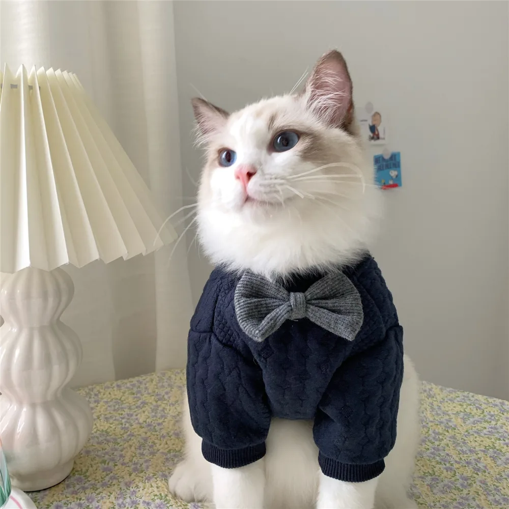 Warm and Cute Clothes for Pets Feet