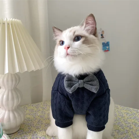 Warm and Cute Clothes for Pets Feet