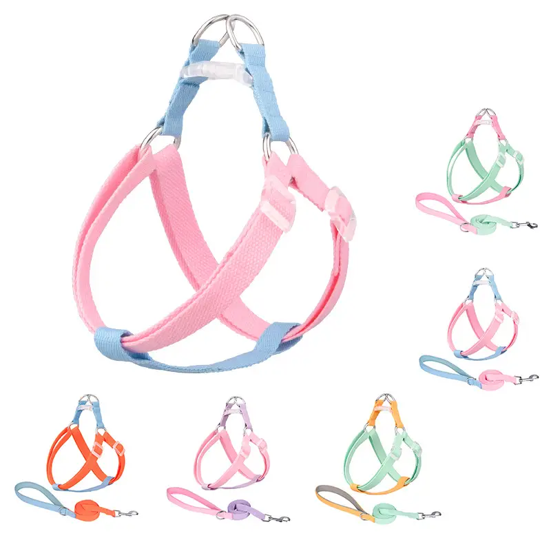 Macaron Traction Dog Rope Small And Medium Sized Pets