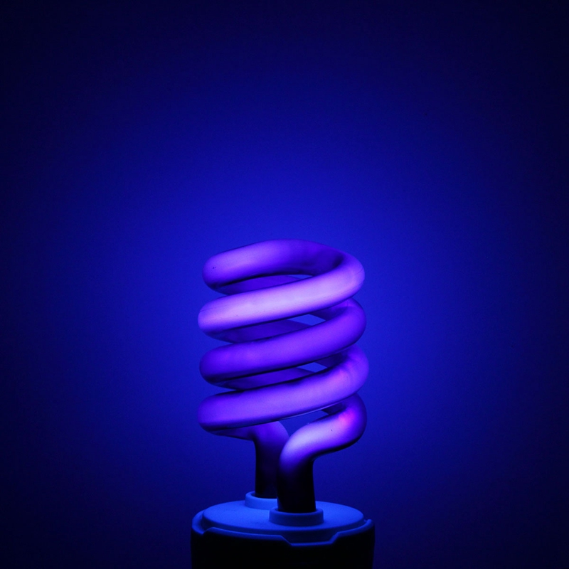 Title 4, Purple energy-saving insect trap lamp. Effectiv...