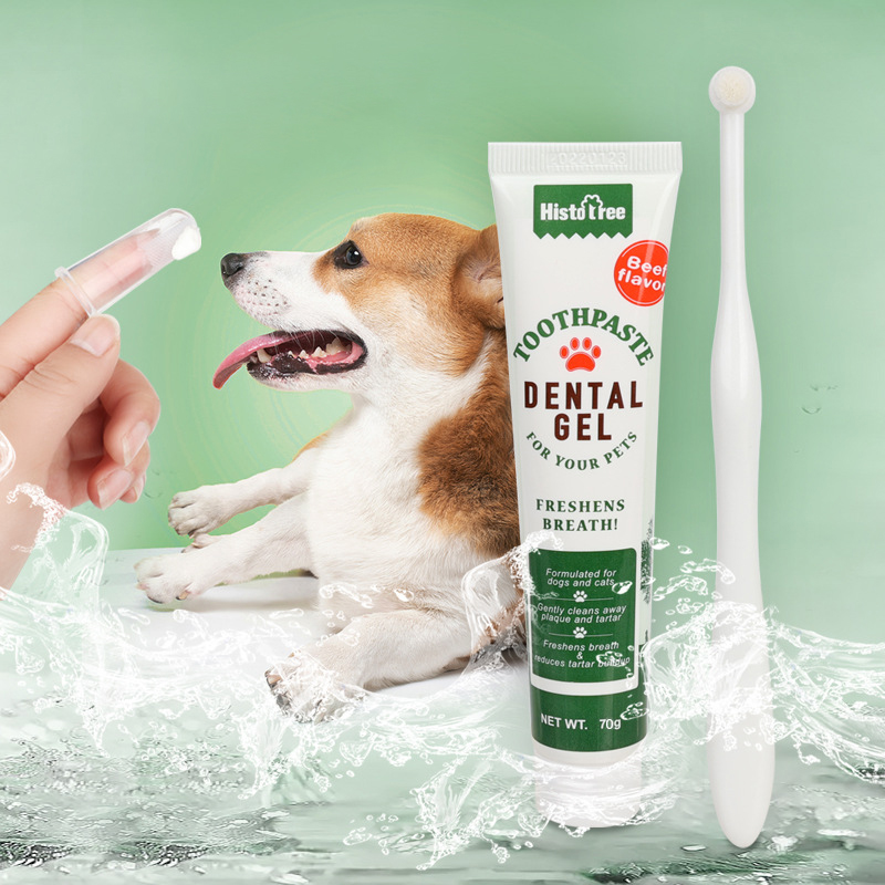 Pet Oral Hygiene Kit with Brushes, Toothpaste, and Flavors including a dual-sided toothbrush, long handle design, soft bristles, fingerbrush, and poultry-flavored toothpaste.