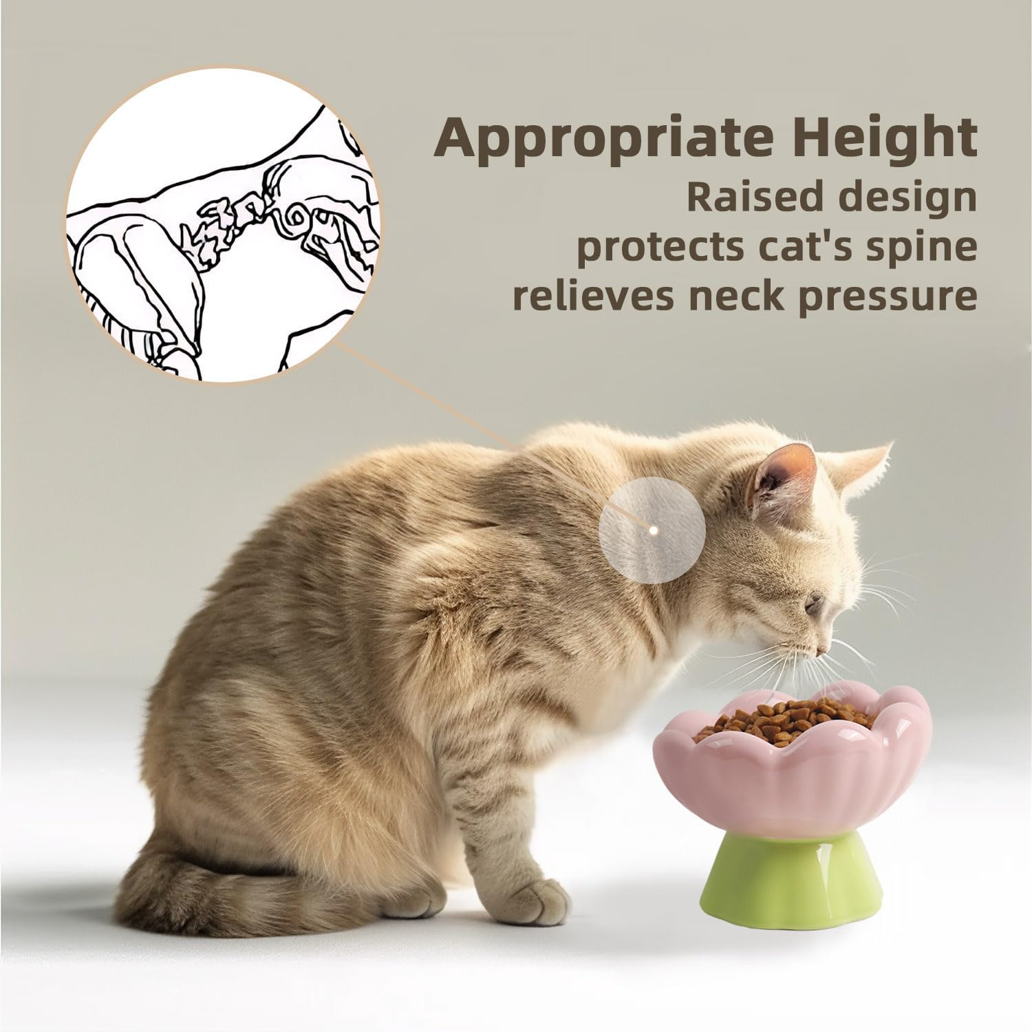 Ceramic Raised Cat Bowl, Pink Elevated Food Bowls For Food And Water Protecting Spine And Whisker Friendly, Tulip Shape Cute Pet Feeder Dish For Indoor Cats And Small Dogs 9