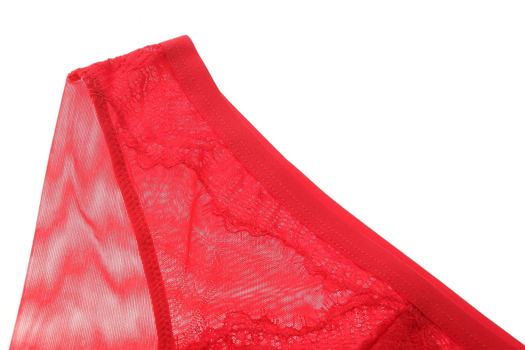 Title 7, Benming Year Red Lace Small Breast Underwear La...