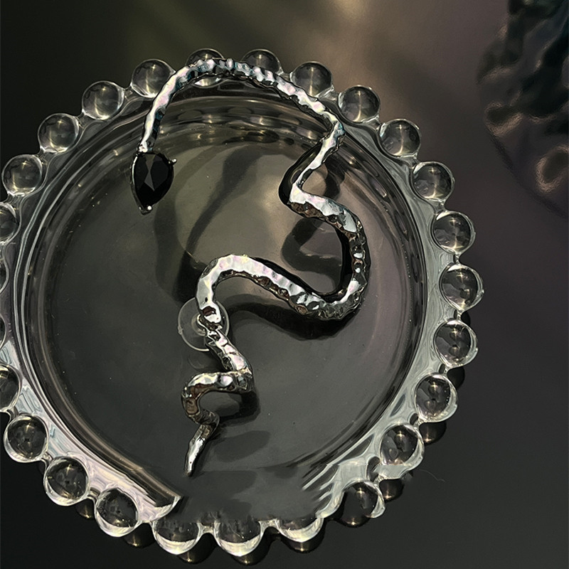 Niche Design Dark Wind Snake Wrap Stud Earrings