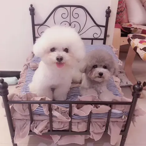 Dog Kennel Cat Pet Hanger Swing Cradle Full Dog