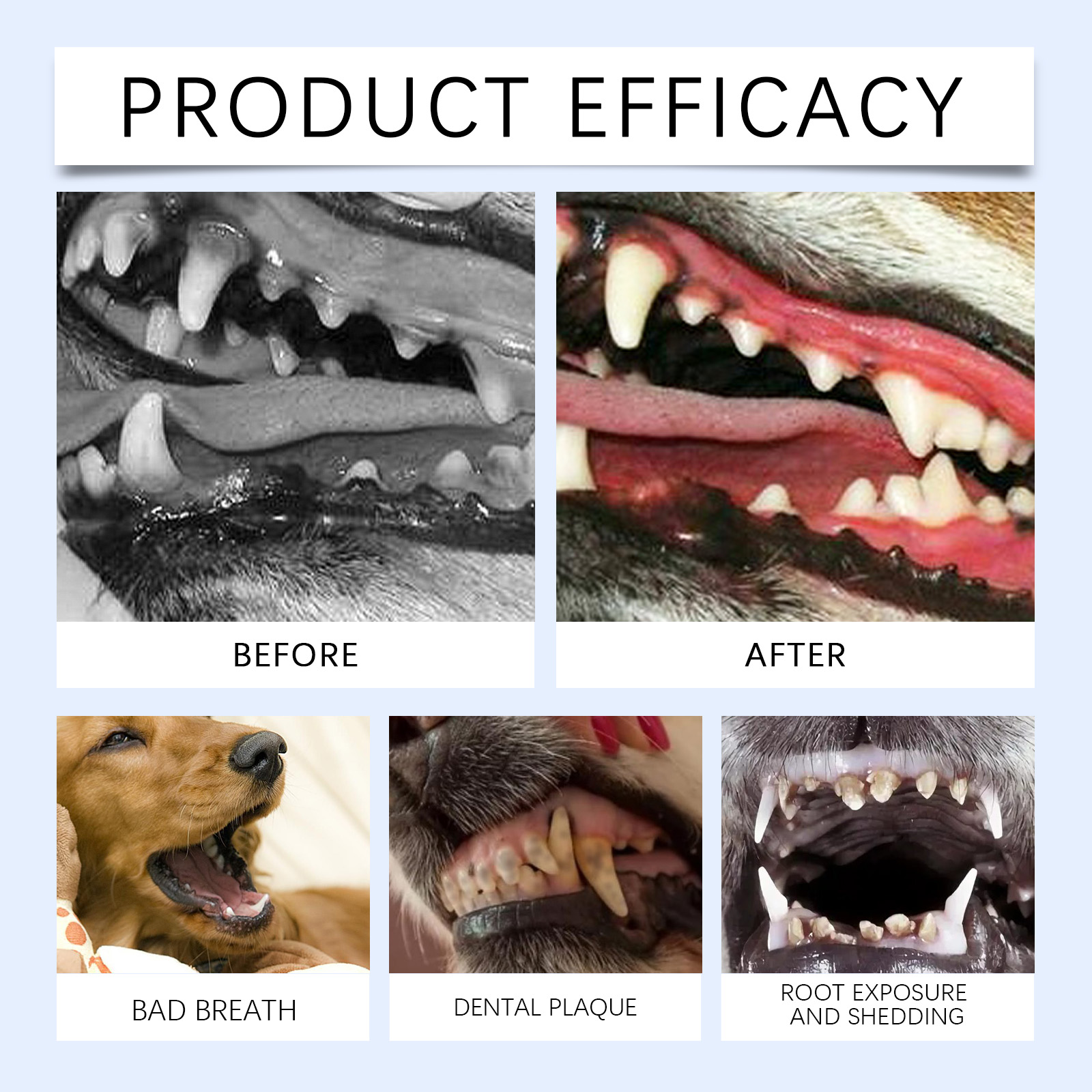 Cat And Dog Teeth Cleaning Powder 7