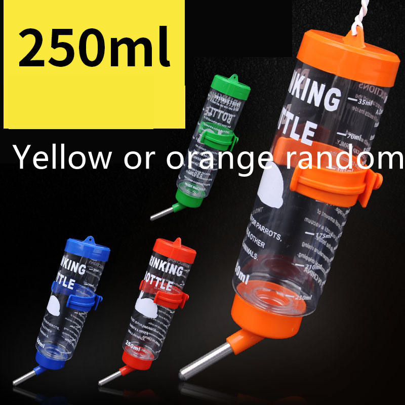 Yellow or orange random