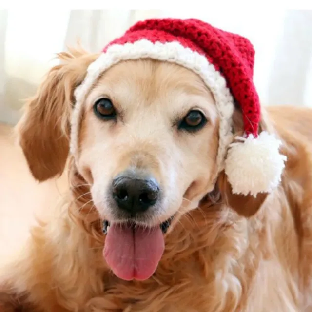 Two piece Pet Hand knitted Hat And Scarf Red - Shop at LoveMi