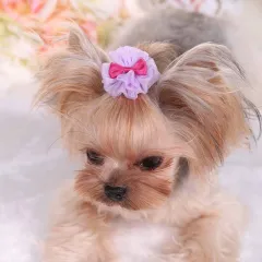 Pet Dog Cute Organza Bubble Hairpin - Purple - View 1
