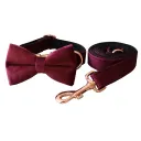 Bow Set