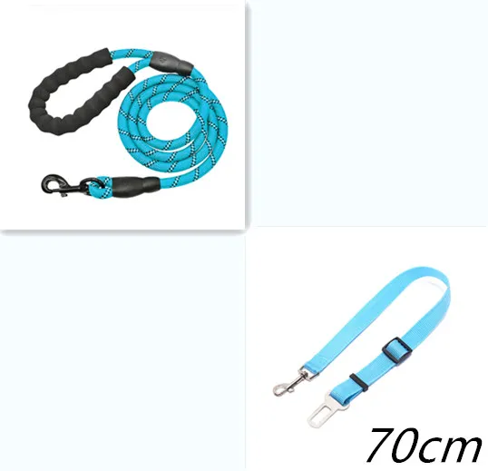 Reflective Dog Leash Nylon Pet Dog Leash Rope For Small Medium Large Dogs Walking Training Pet Suppiles Blue Set - Shop at LoveMi