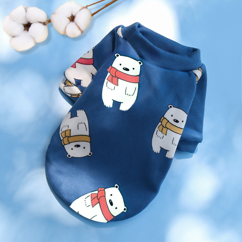 Bear with blue scarf