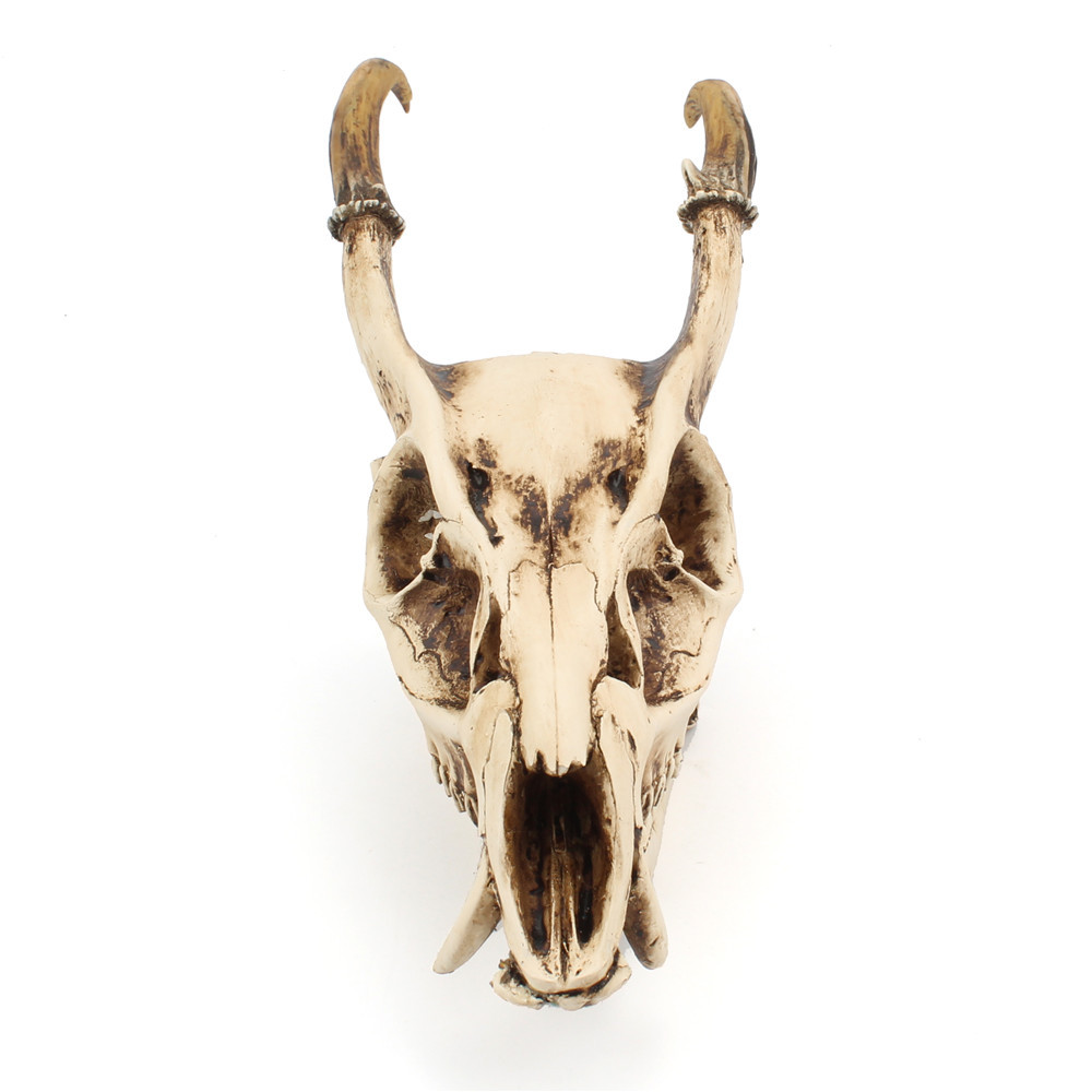 Resin Goat Skull Ornament Three-dimensional Simulation