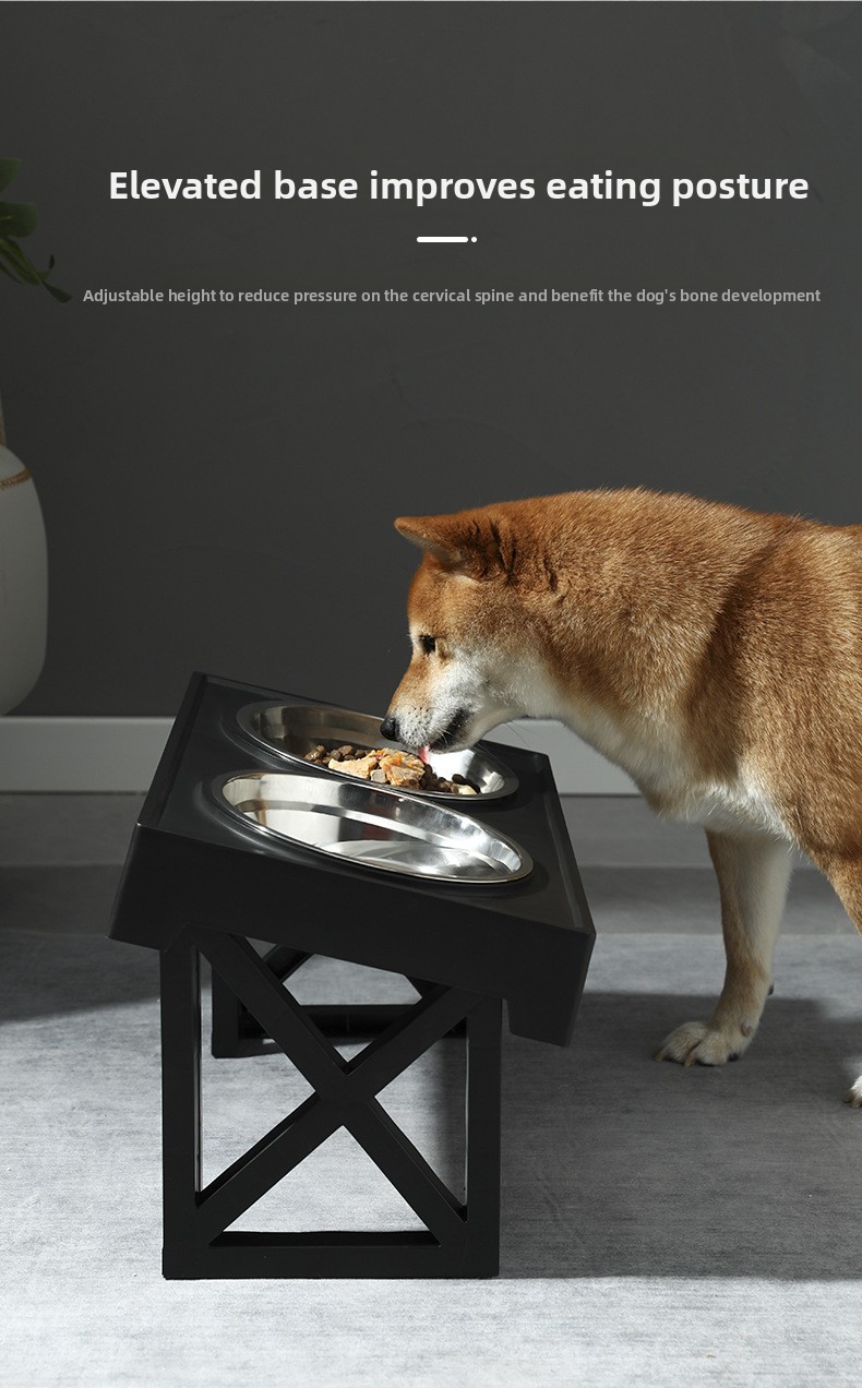 Cat And Dog Bowl Vertical Elevated Bowl 2