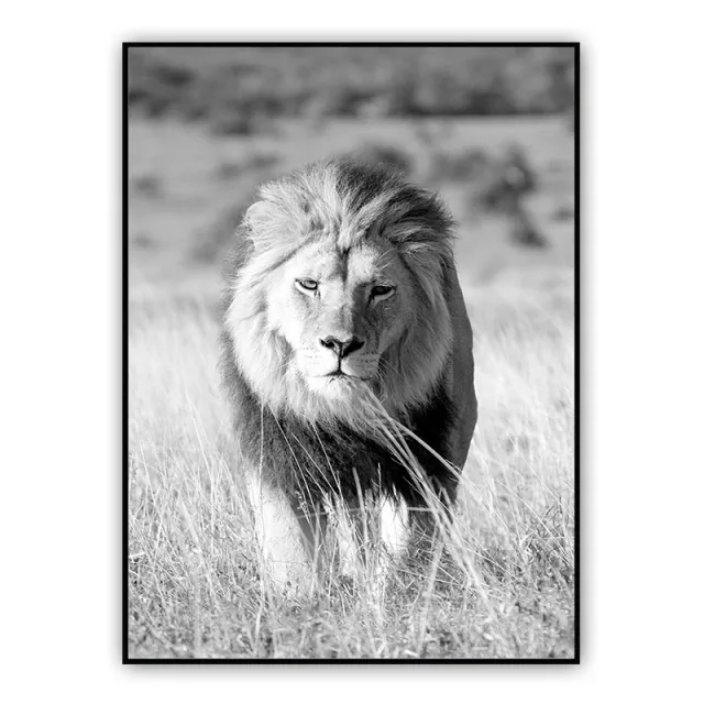 Art Gallery Living Room Decorative Canvas 3 Style - Shop at LoveMi