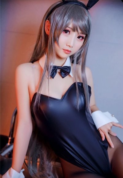 Title 3, Bunny Girl Senior Sister Cosplay Clothes