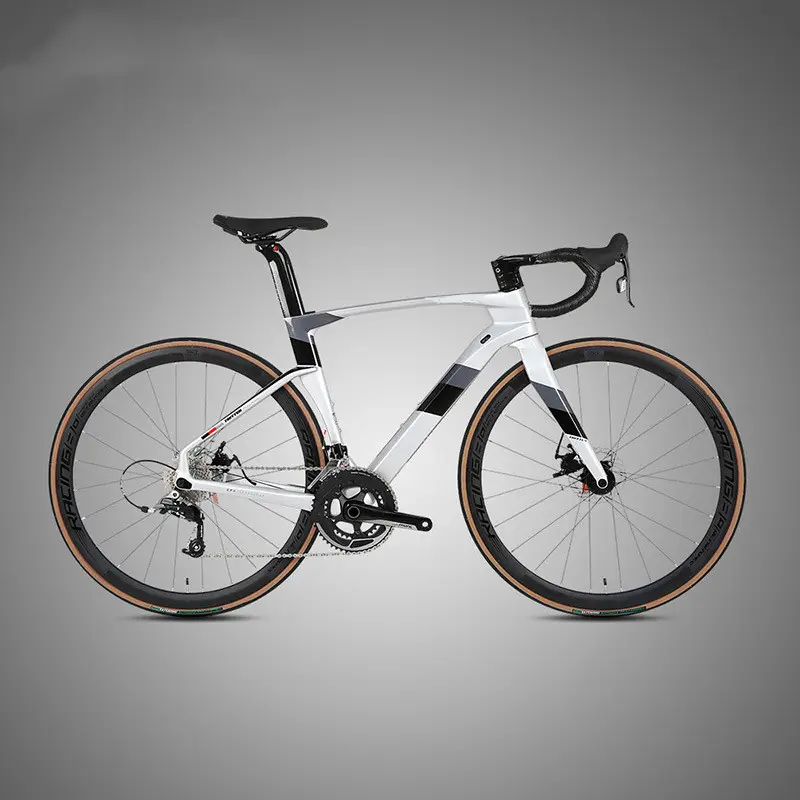 Fully Hidden Carbon Fiber Disc Brake Road
