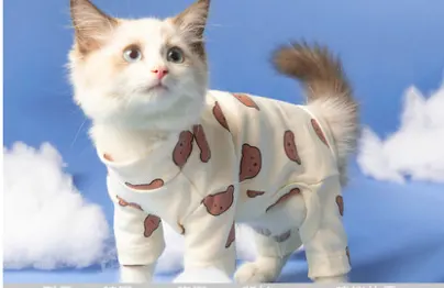Clothes Puppet Cat British Short Cat Cat Anti-hair Shed