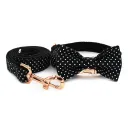 Bow Set