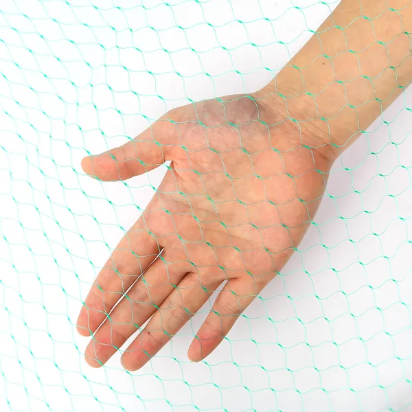 13 X 33Ft Garden Netting Heavy Duty Pe Anti, picture 2 of 4