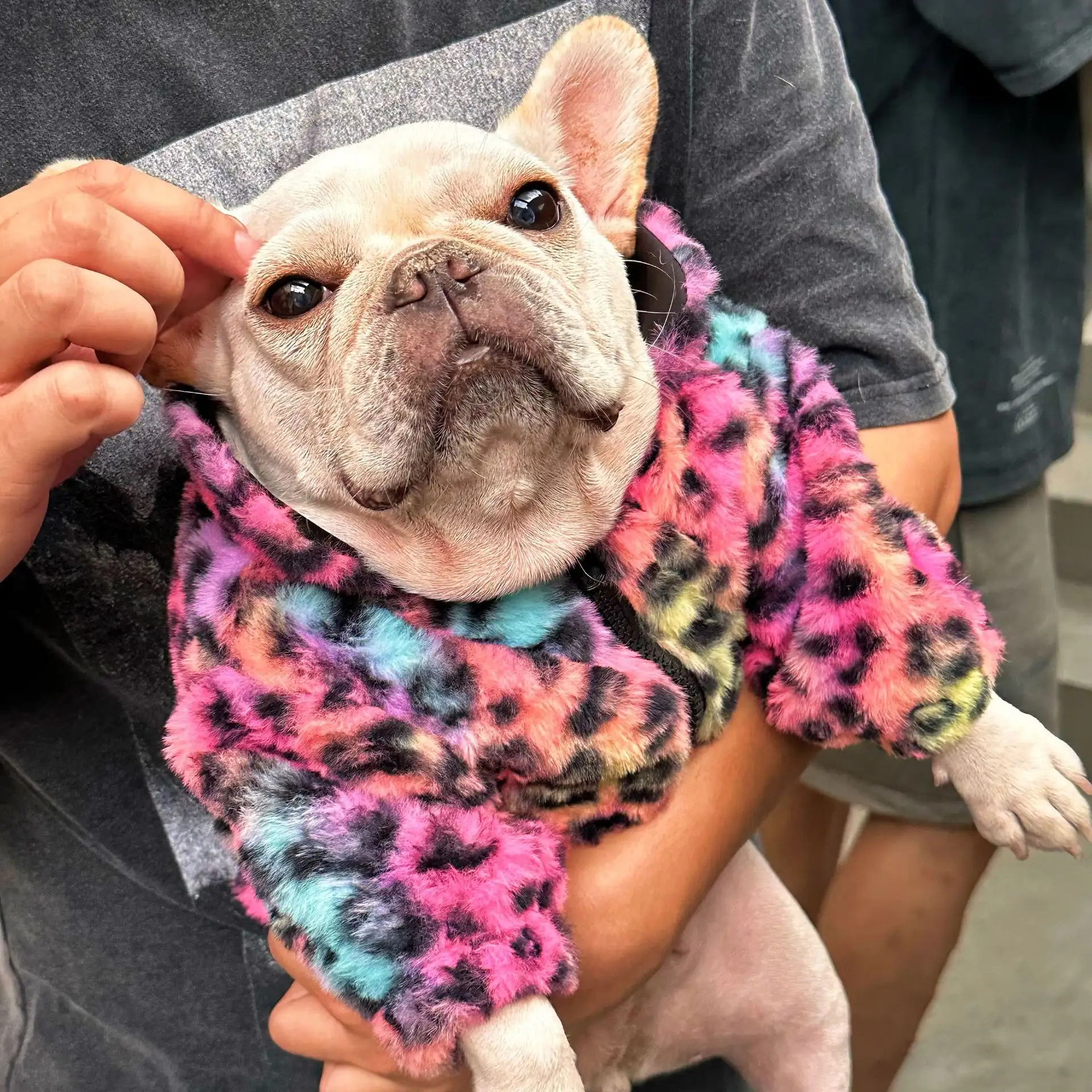 New Style Pet Clothes Colorful Leopard Print Velvet Coat