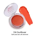 104Sunflower