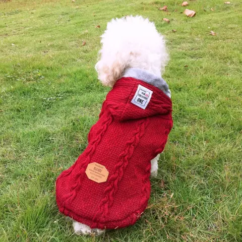 Plush Pet Clothes Soft and Comfortable Thick Warm Dog