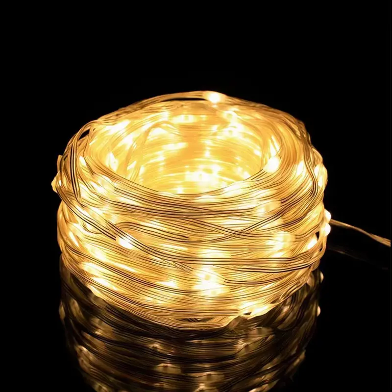 Christmas LED Leather Wire Light String Low