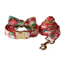 Bow And Collar And Leash