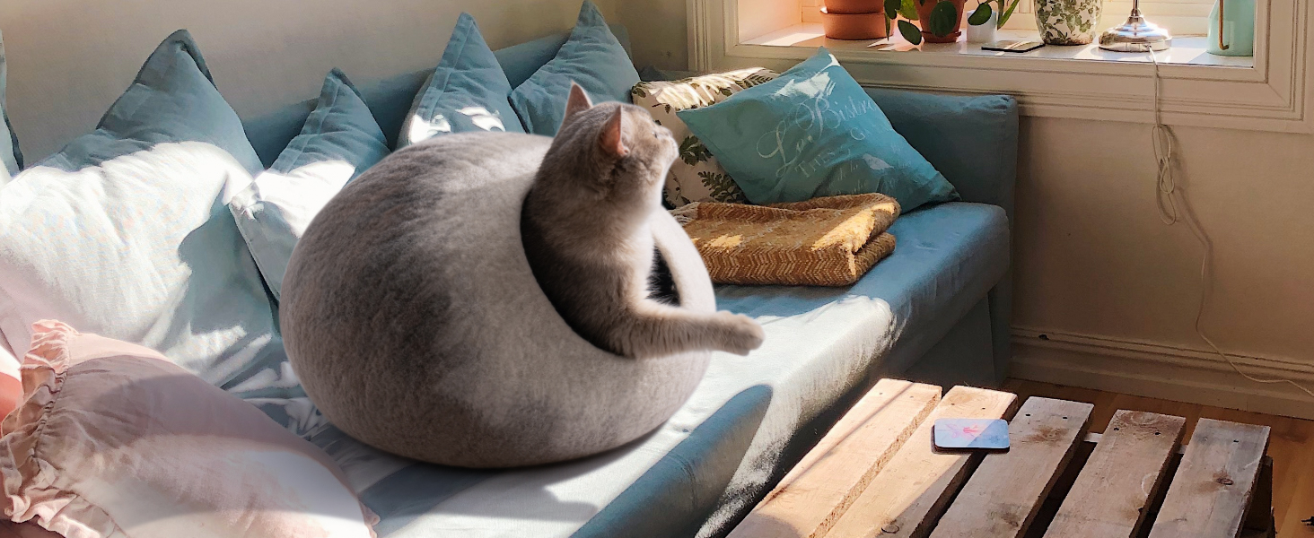 cat cave
