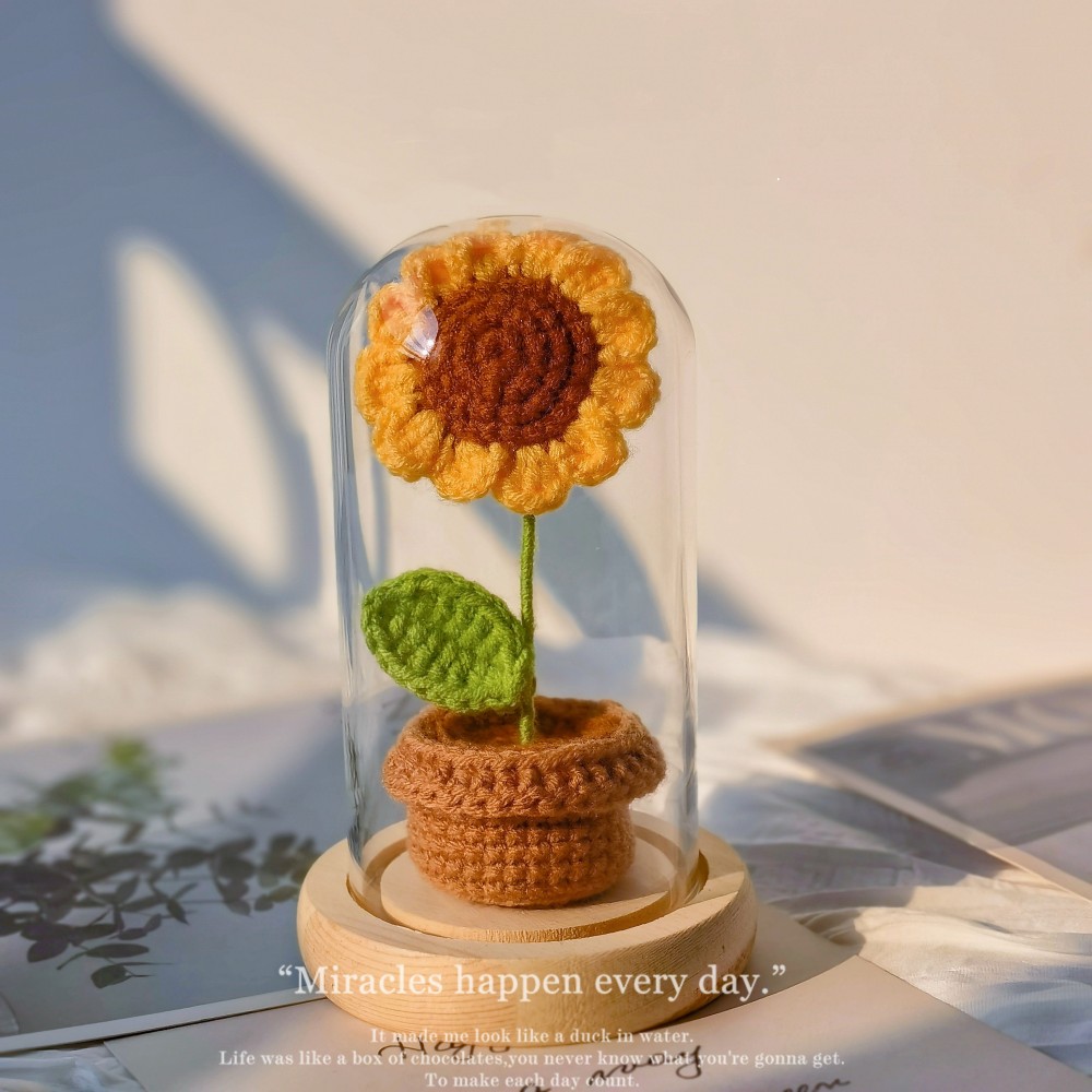 1 Sunflower With Glass Cover