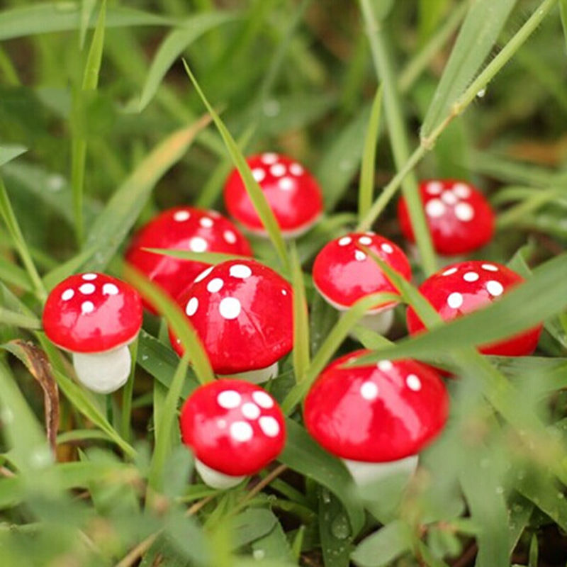 Title 2, Forest Plant Simulation Bubble Small Mushroom