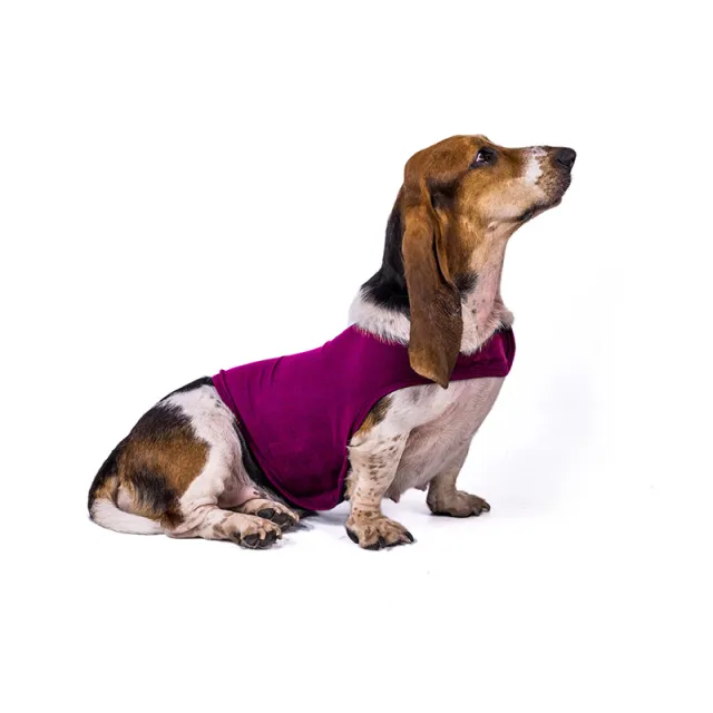 Anxiety Jacket Vest Summer Medical Treatment To Calm Down Cat Clothes Dog Comfort Clothes Rose Red - Shop at LoveMi