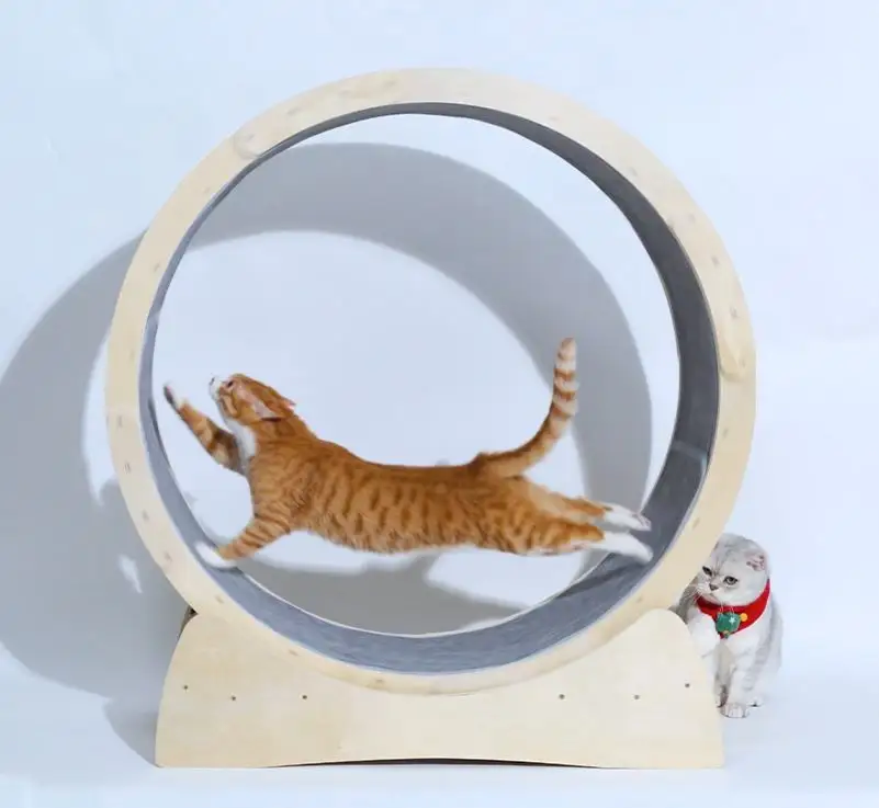 Special Toys for Cat Treadmill Roller