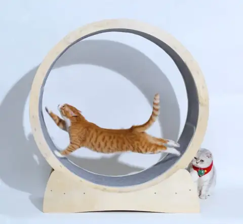 Special Toys for Cat Treadmill Roller