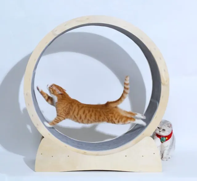Special Toys For Cat Treadmill Roller - Shop at LoveMi