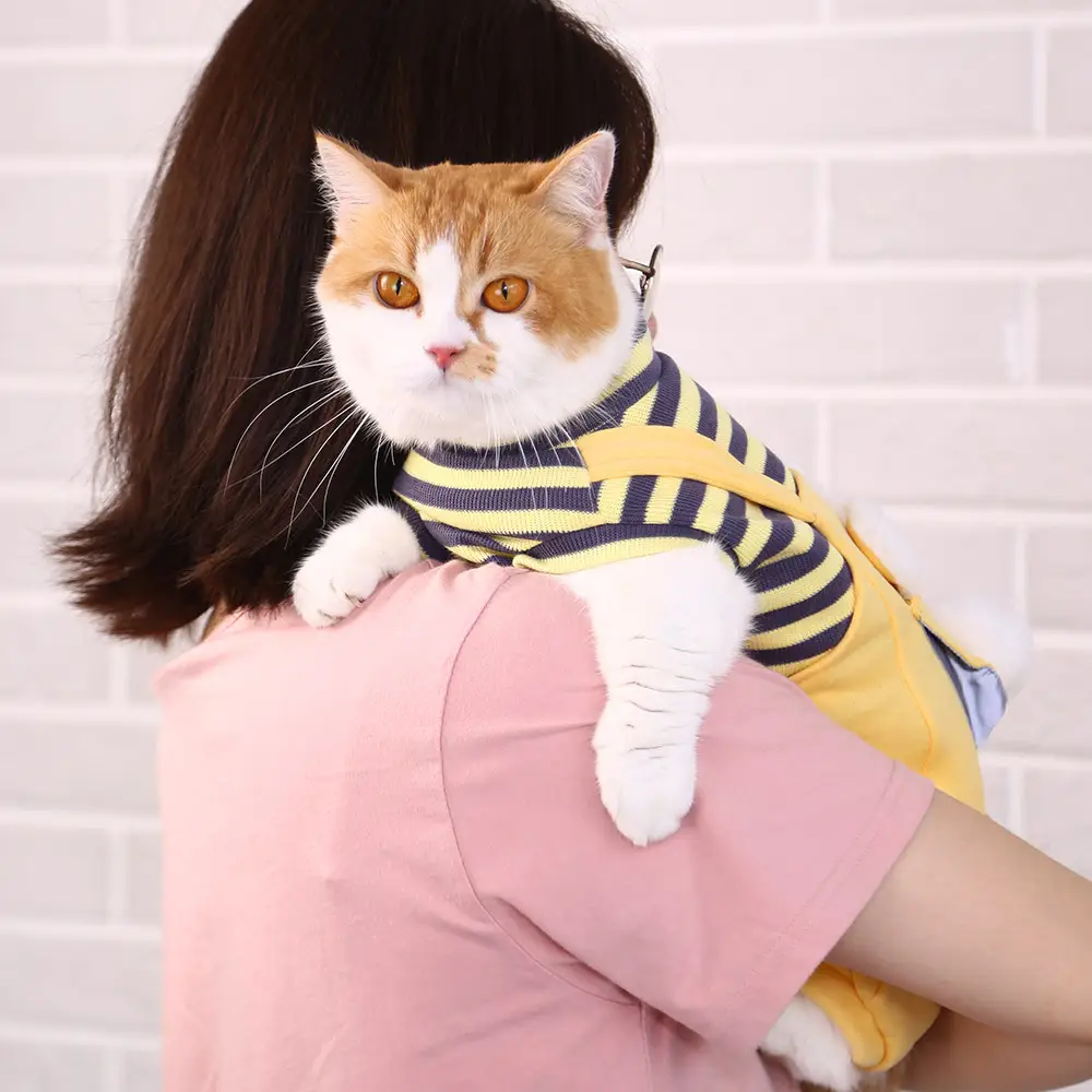 Kitty Clothes Kitty Four Legged Tide Brand Anti Hair Loss