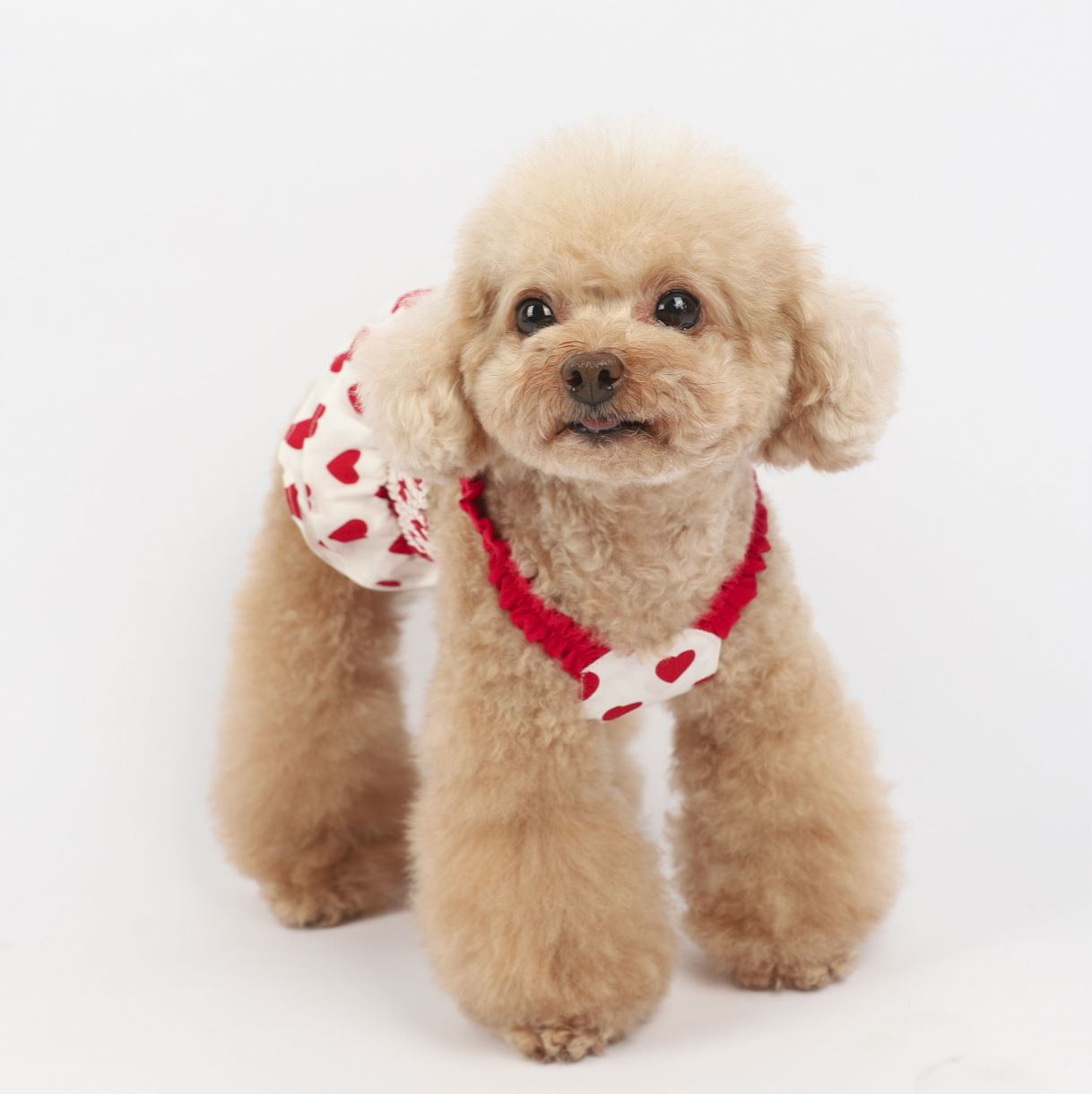 Ins Korean Love Blue And Red Sling Pet Clothes