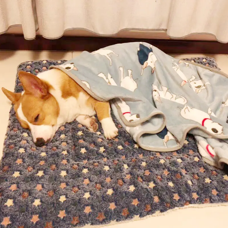 Padded Pet Mat to Keep Dogs Warm
