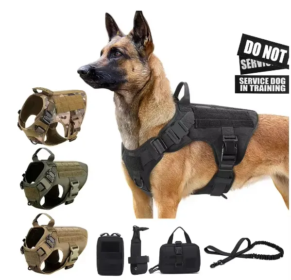 Pet Harness Luxury Dog Leash Set Chest