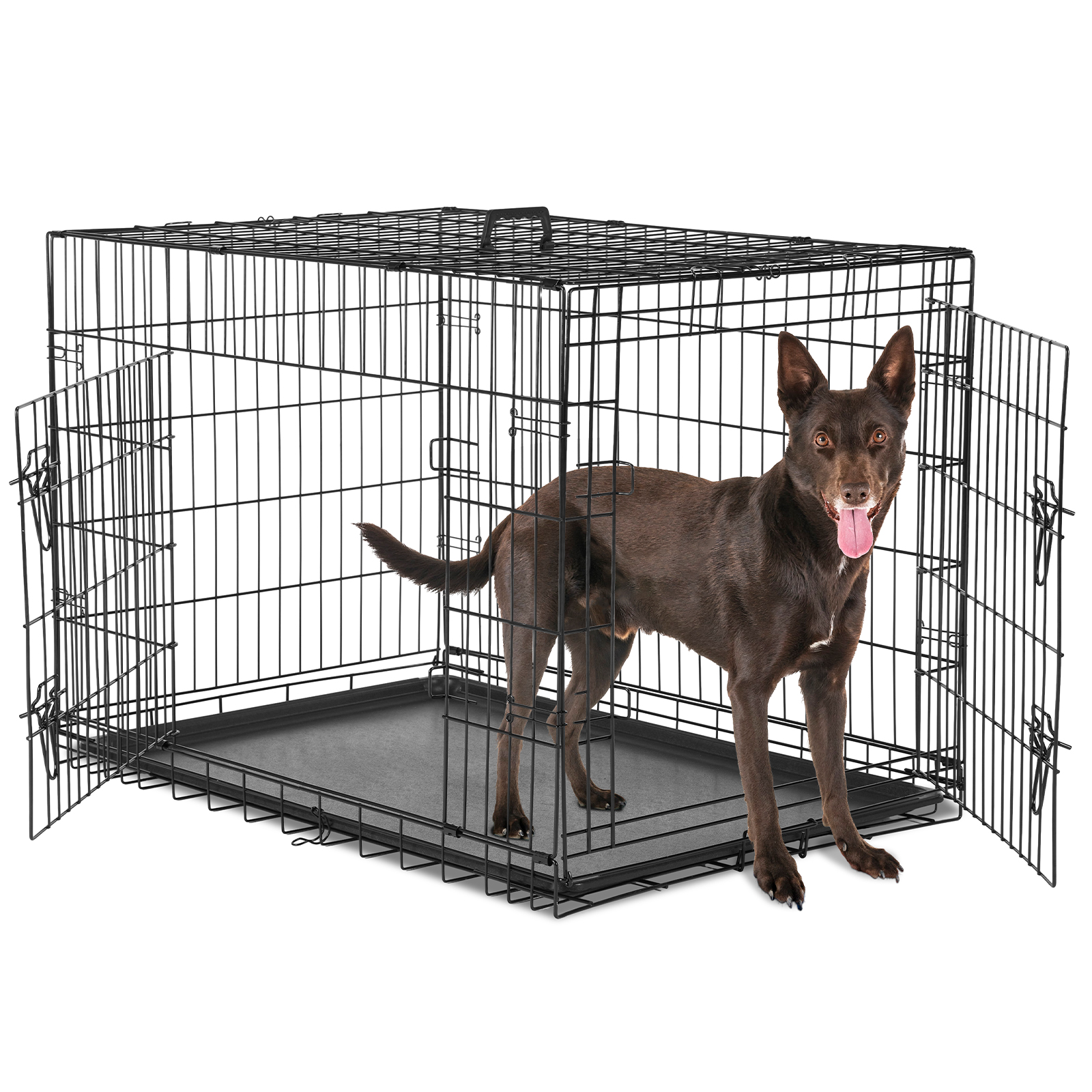 A Dog Cage With Two Doors 36Double Door - Shop at LoveMi