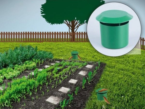 Garden Vegetable Garden Snail Trap — foto 4