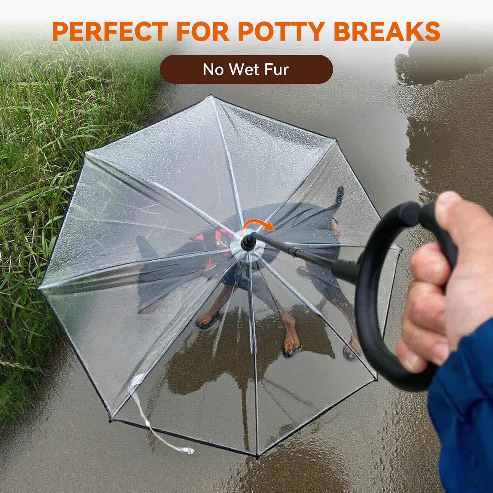 Parapluie pour Chiens Petits Races — Protège ton Chien de la Pluie - image 6