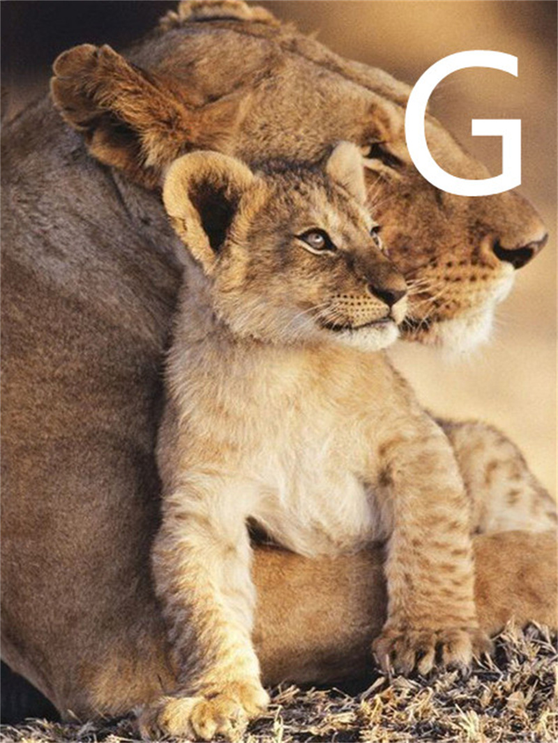 G